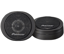 Pioneer TS-S20