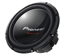Pioneer TS-W310D4